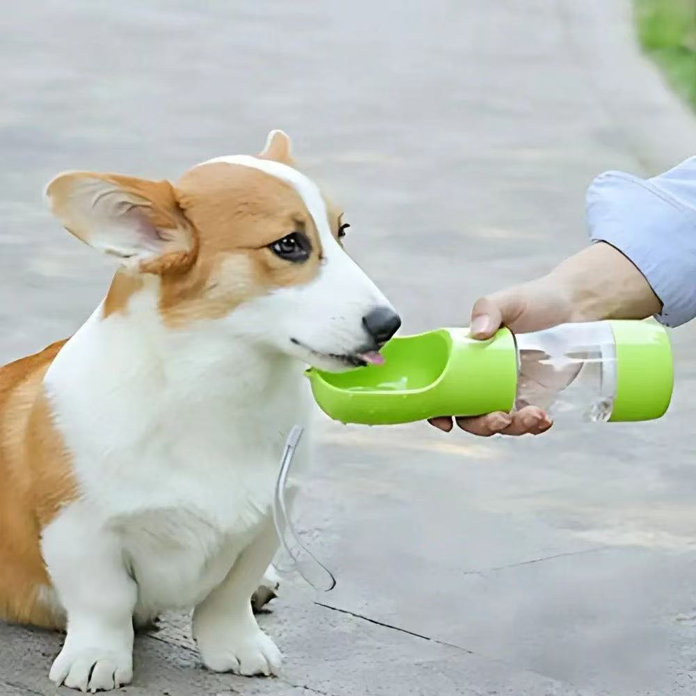 OUTDOOR  PET  WATER  FEEDER